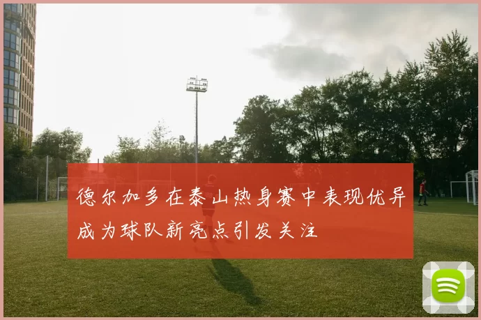 德尔加多在泰山热身赛中表现优异成为球队新亮点引发关注