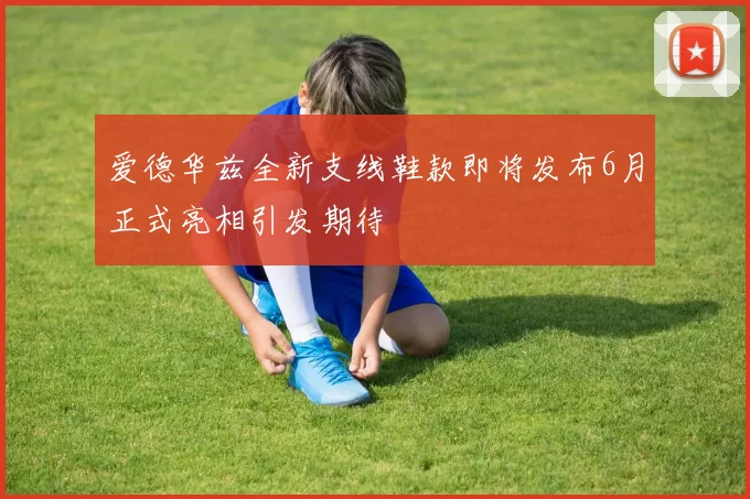 爱德华兹全新支线鞋款即将发布6月正式亮相引发期待
